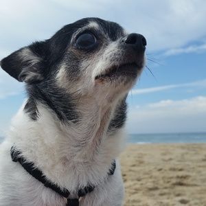 Meet your Posher, Janelle